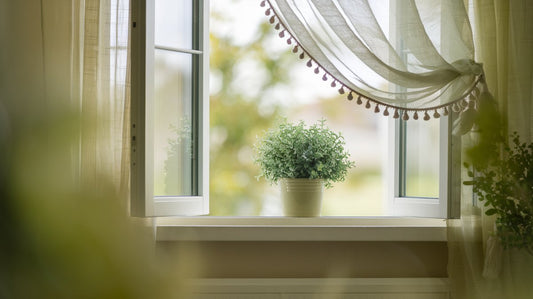 An open window with sheer curtains and a green plant in fresh morning light — the fresh-air feeling of stopping smoking